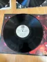 Грамофонна плоча, комплект от две, снимка 7