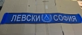 Шалче Левски и Левски София три модела - 2025 фенски модел, снимка 3