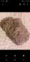  Камък от вулкана Везувий, снимка 2