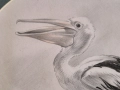 Румен Статков Уникален етюд на Пеликан 1999 година, снимка 4