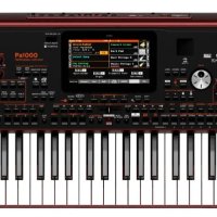 Korg PA1000 Lightweight Keyboard 61 Keys PRO Arranger, снимка 3 - Други - 44076780