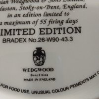 Красива английска чиния, маркирана, снимка 7 - Чинии - 37982493