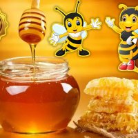 Предлагам първокачествен полифлорен пчелен мед прополис и восък произведени в екологично чист район , снимка 3 - Пчелни продукти - 38156317