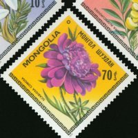  Сет 7 марки Цветята на Монголия,Монголия, 1979, ново, минт, снимка 9 - Филателия - 27982678