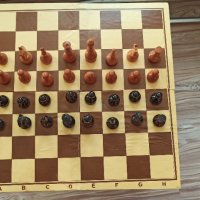 Шах за професионалисти , снимка 1 - Други спортове - 43467007