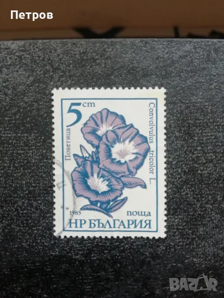 НР БЪЛГАРИЯ 5 ст. 1985, снимка 1