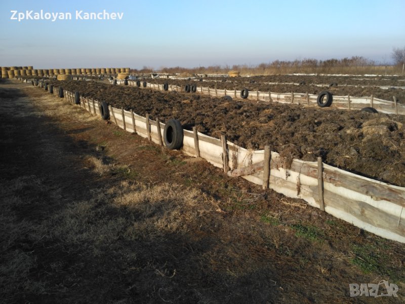Червени калифорнийски червеи в Други в с. Калековец - ID27379892 | Bazar.bg