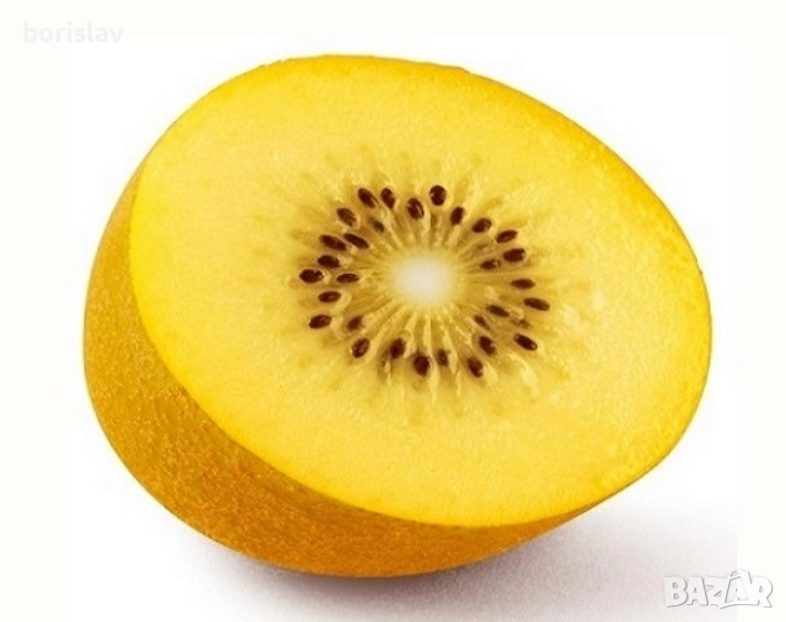Едро Златно киви Сорели - Голд киви(Gold kiwi - Soreli), снимка 1