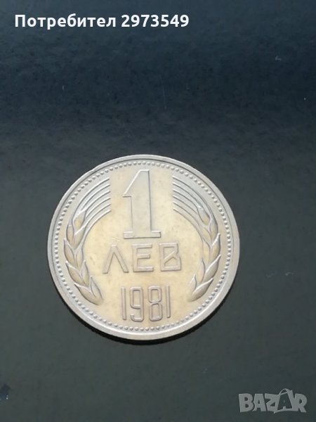 1 лев 1981 г. , снимка 1