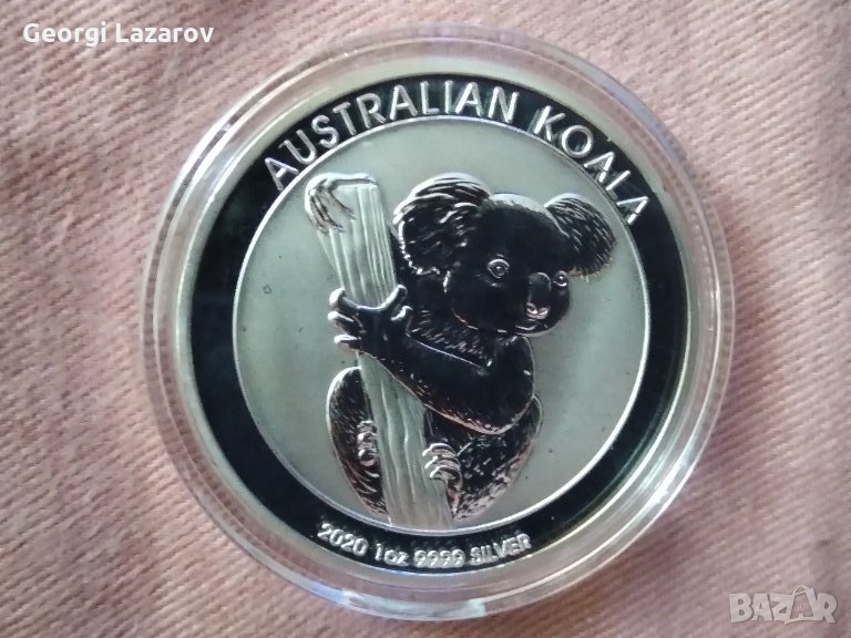коала от Австралия 2020, снимка 1