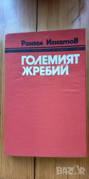 Големият жребий - Рангел Игнатов, снимка 1