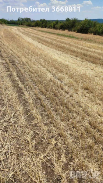 Земеделска земя - Нива - Категория 4, снимка 1