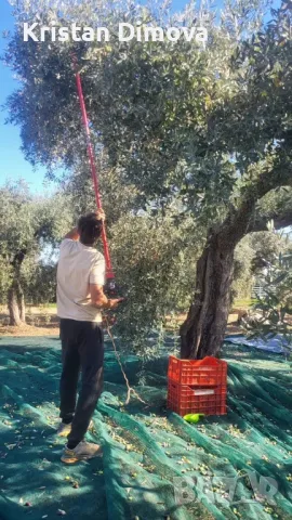 Зехтин Extra Virgin , снимка 7 - Други услуги - 48157201