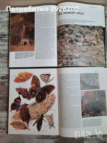 ЕНЦИКЛОПЕДИЯ ЗА ЖИВОТНИ 5БР., снимка 12 - Енциклопедии, справочници - 38065436