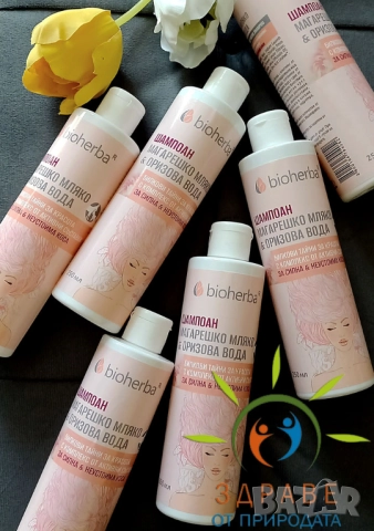 ‼️Промоция за 3бр. -ШАМПОАН МАГАРЕШКО МЛЯКО & ОРИЗОВА ВОДА 