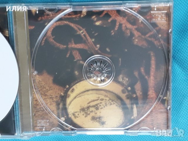 Vinicius Cantuária (Bossanova,Latin Jazz)-2CD, снимка 10 - CD дискове - 43817713