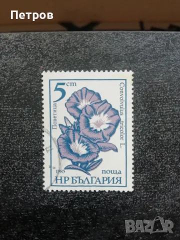 НР БЪЛГАРИЯ 5 ст. 1985, снимка 1