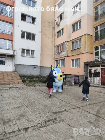 Изненада за рожден ден / Кученцето Блуи, снимка 6 - Детегледачки, детски центрове - 48203971