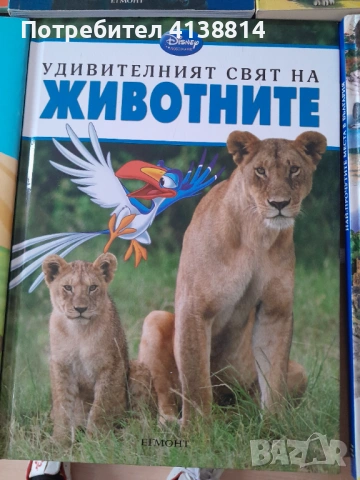 Детски книги , снимка 5 - Детски книжки - 53334295