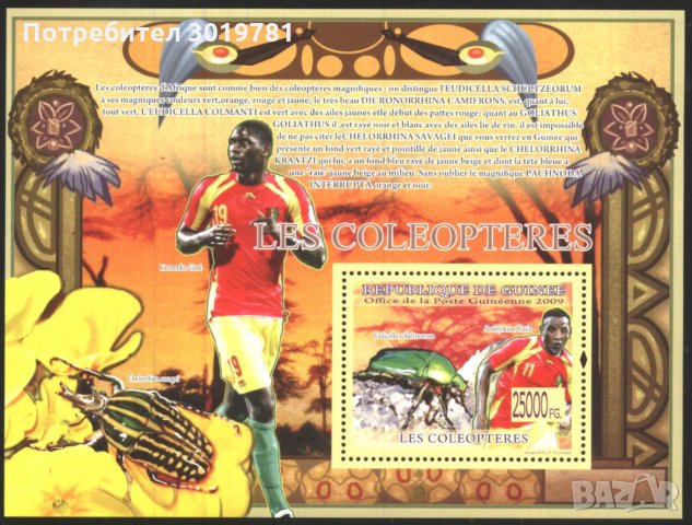 Чист блок Фауна Насекоми Бръмбари Спорт Футбол 2008 Гвинея
