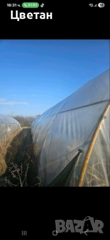 Оранжерии на 3г. + найлон, снимка 8 - Оранжерии - 53009529