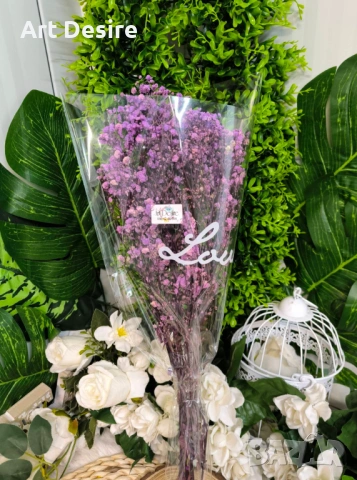 Гипсофил , снимка 6 - Други - 53408838