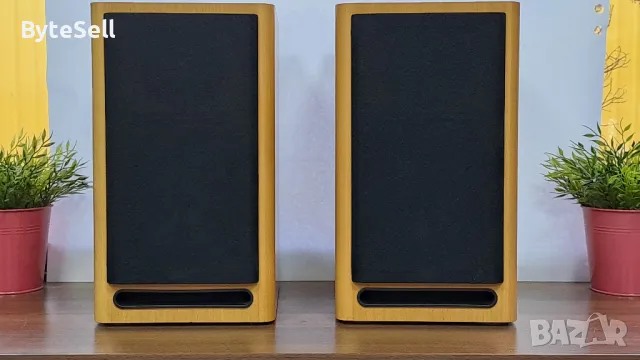 asw cantius mk ii