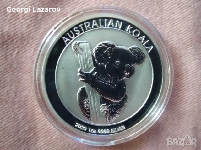коала от Австралия 2020