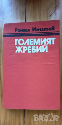 Големият жребий - Рангел Игнатов