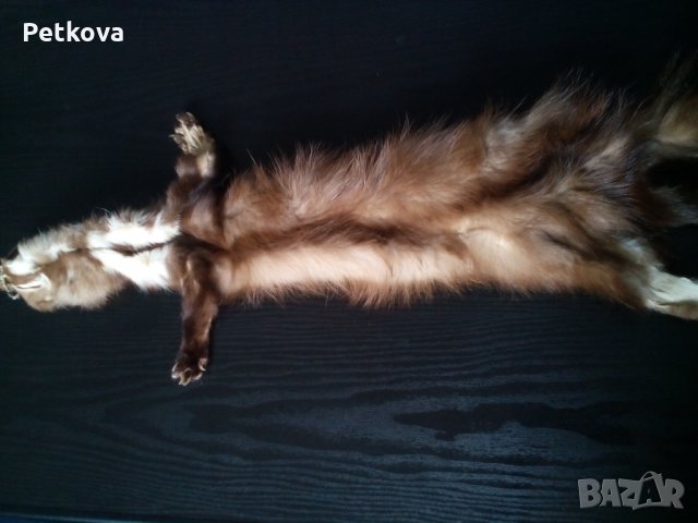 Обработена кожа от белка, снимка 3 - Други - 27626504