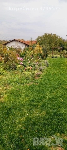 Собственик продава имот в с. Селци, обл. Пловдив , снимка 8 - Къщи - 52193225