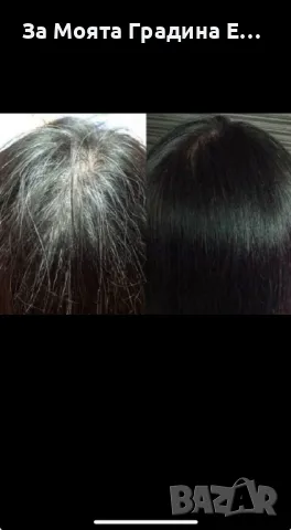 Шампоан против бели коси Softto plus black hair, brown hair , снимка 7 - Продукти за коса - 49688601