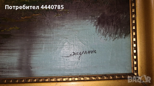 Маслени картини върху платно, снимка 10 - Картини - 53054490