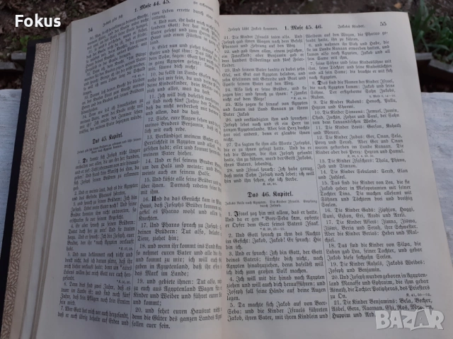 МНОГО СТАРА НЕМСКА БИБЛИЯ 1887 ГОДИНА, снимка 8 - Антикварни и старинни предмети - 53479165