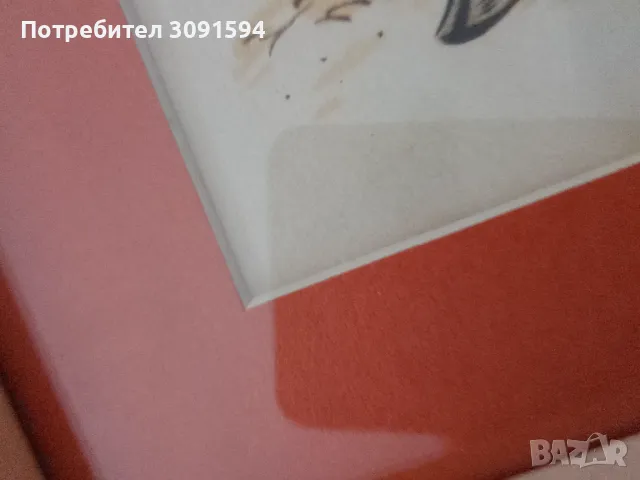 Две картинки корида матадор, снимка 5 - Антикварни и старинни предмети - 50125312