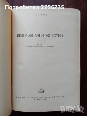 Безгръбначни животни ( част 1 ), снимка 6 - Специализирана литература - 50427674