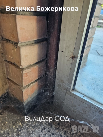 Почистване , снимка 2 - Почистване на домове - 51791355