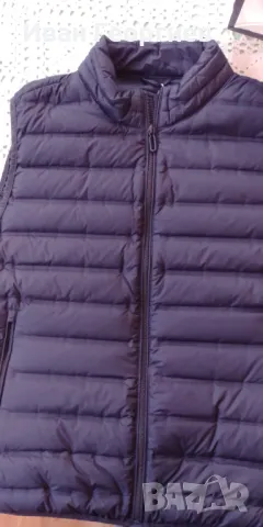 Мъжки елек Us Polo assn