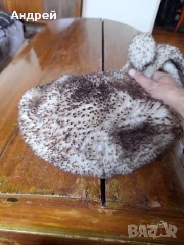 Стара детска шапка ушанка, снимка 6 - Други ценни предмети - 52955063