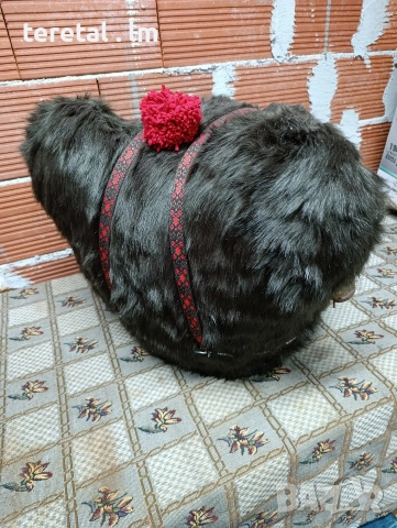 Глави на мечки . Голями, снимка 4 - Други стоки за животни - 52850788