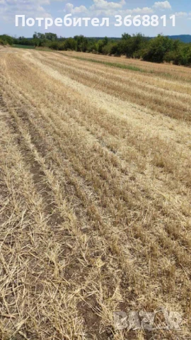 Земеделска земя - Нива - Категория 4