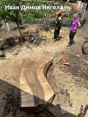 Продавам сухи янове от орех, снимка 7 - Маси - 48068990