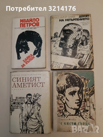 Денят на нетърпението - Владимир Зарев