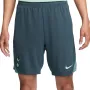 Мъжки шорти Nike Dri-FIT Tottenham Hotspur Strike Third FQ2426-359, снимка 1