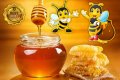 Предлагам първокачествен полифлорен пчелен мед прополис и восък произведени в екологично чист район , снимка 3
