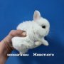 Мини зайчета, снимка 1 - Декоративни зайчета - 38702384