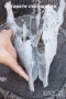 Стари черепи, кости, зъби, челюсти и други кокали от животно за декорация, череп кокал кост , снимка 9