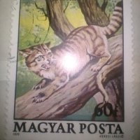 Красива колекция 2 бр. стари Унгарски пощенски марки с животни, 1979 г., снимка 2 - Филателия - 43347498