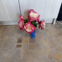 Градински храстовидни рози ,ароматни, снимка 8 - Градински цветя и растения - 33266169