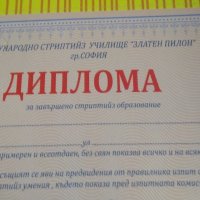 Дартс магнитен тарикатски нов за купон за подарък, снимка 4 - Дартс - 43662546